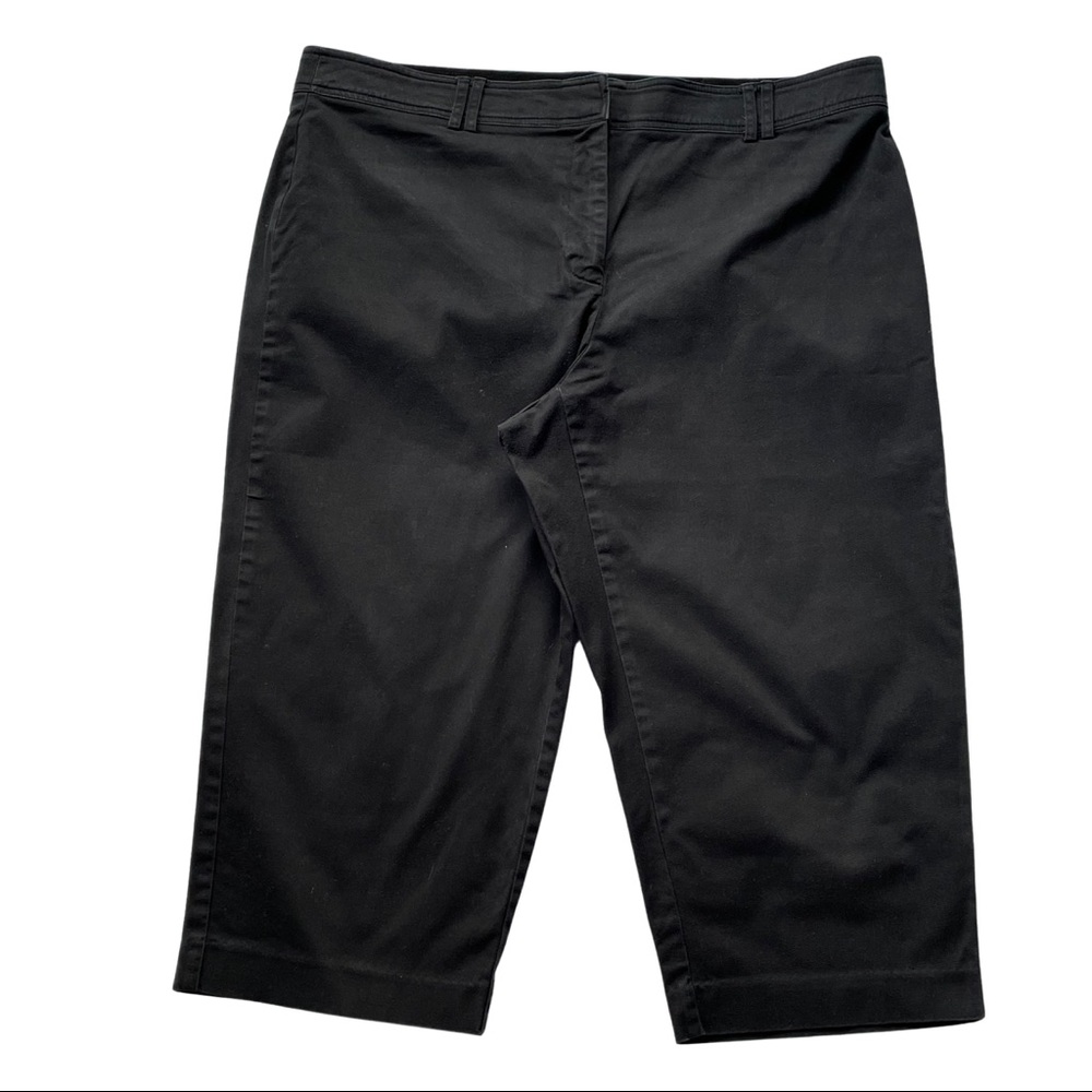 Briggs New York Pants